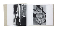 Load image into Gallery viewer, Daido Moriyama - Stray Cats