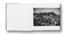 Load image into Gallery viewer, MASAHISA FUKASE - SOLITUDE OF RAVENS