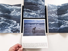 Load image into Gallery viewer, G.CHIAPPARINI &amp; C.MARRESE - THINKING LIKE AN ISLAND