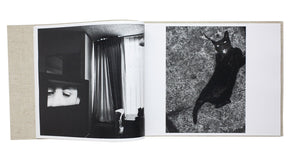 Daido Moriyama - Stray Cats