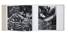 Charger l&#39;image dans la galerie, Daido Moriyama - Stray Cats