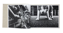 Charger l&#39;image dans la galerie, Daido Moriyama - Stray Cats