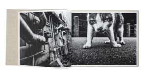 Daido Moriyama - Stray Cats