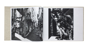 Daido Moriyama - Stray Cats